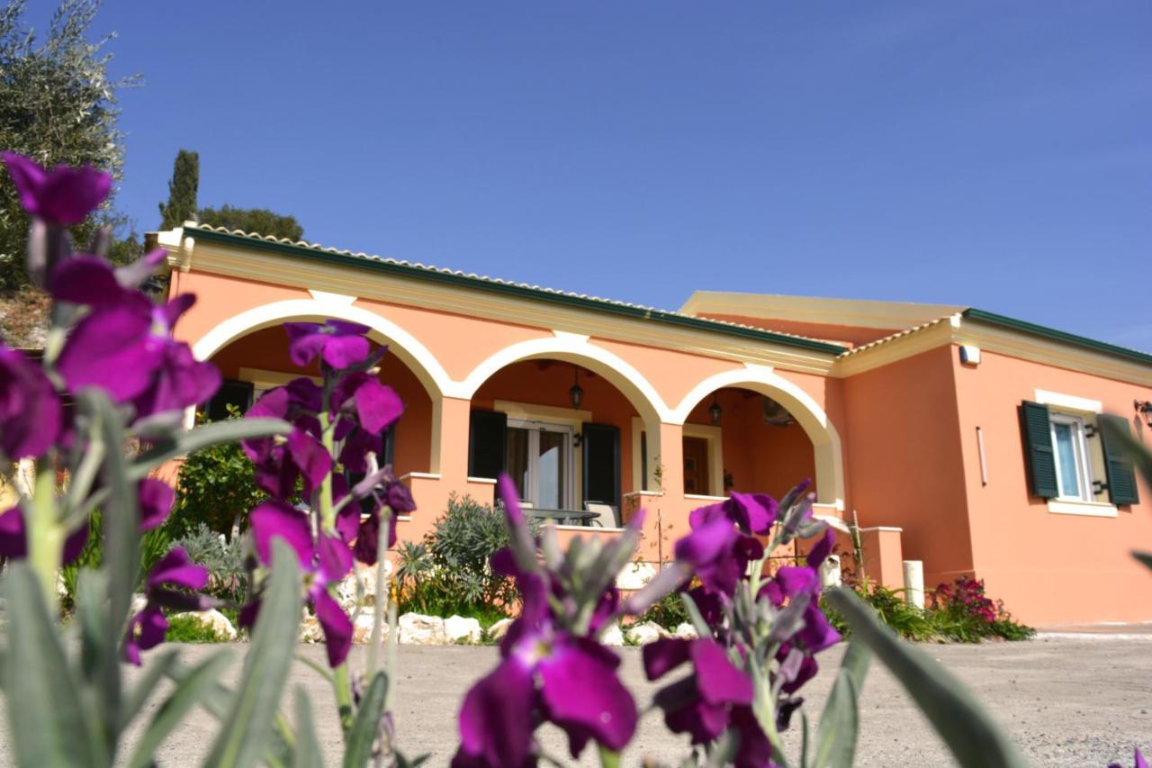 Villa Skafonas Sinarádes 外观 照片