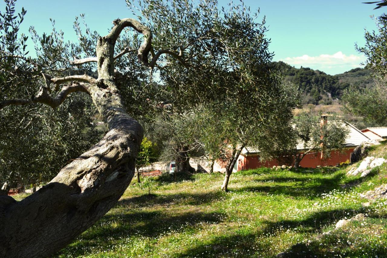 Villa Skafonas Sinarádes 外观 照片