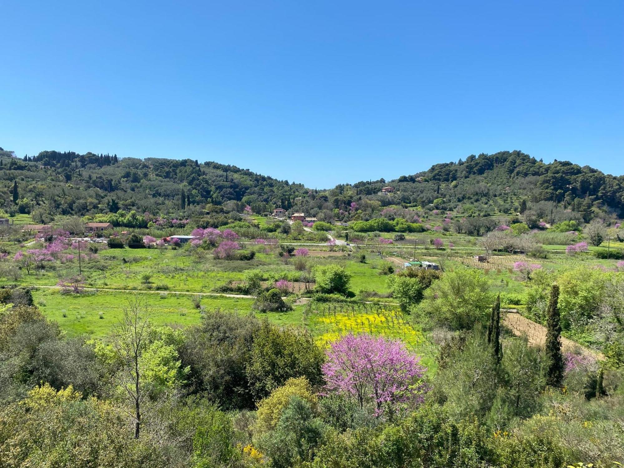 Villa Skafonas Sinarádes 外观 照片